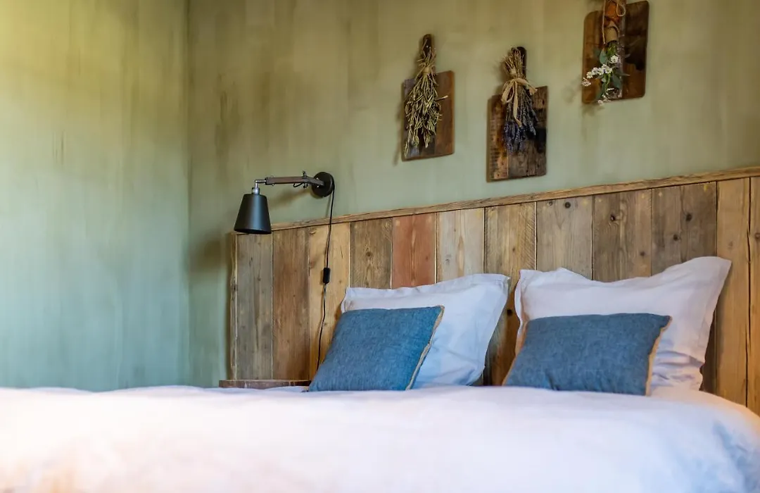 Lavendine Pure Guesthouse-1