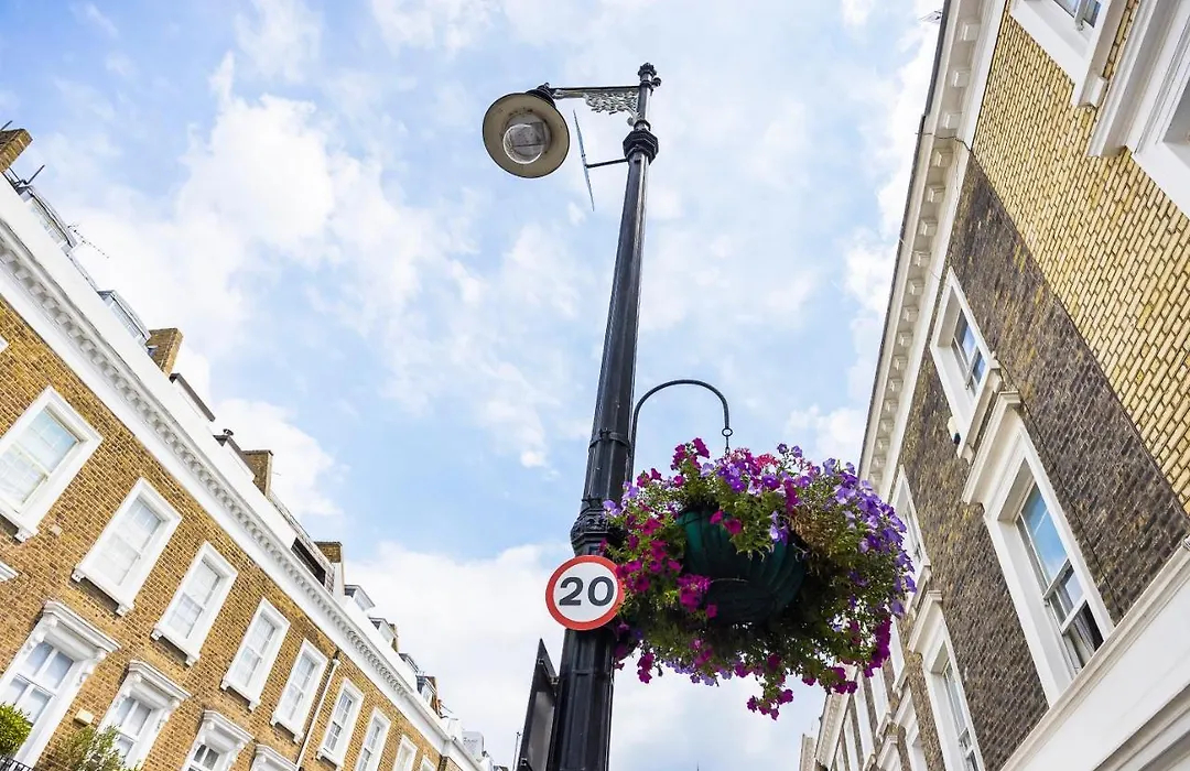 Pimlico Hub-1