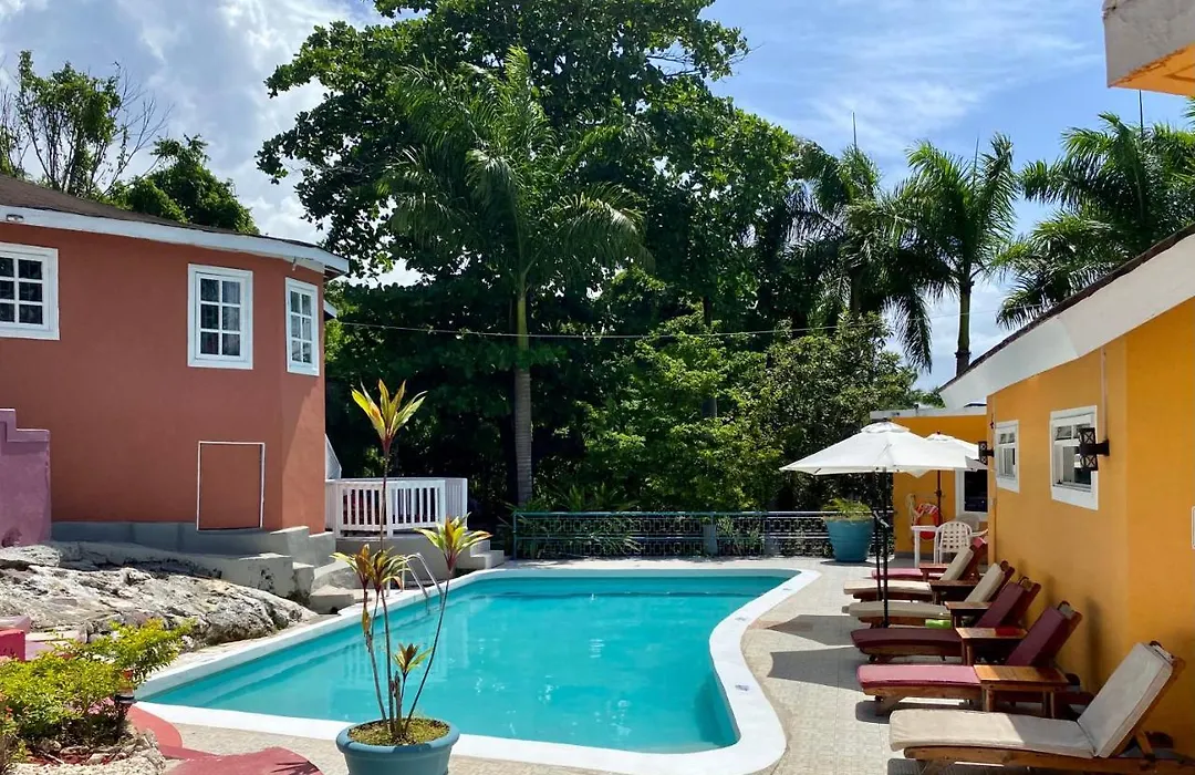 The Blue Orchid B&B-1