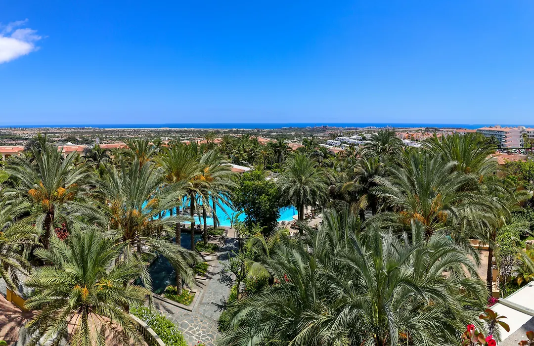 Palm Oasis Maspalomas-1