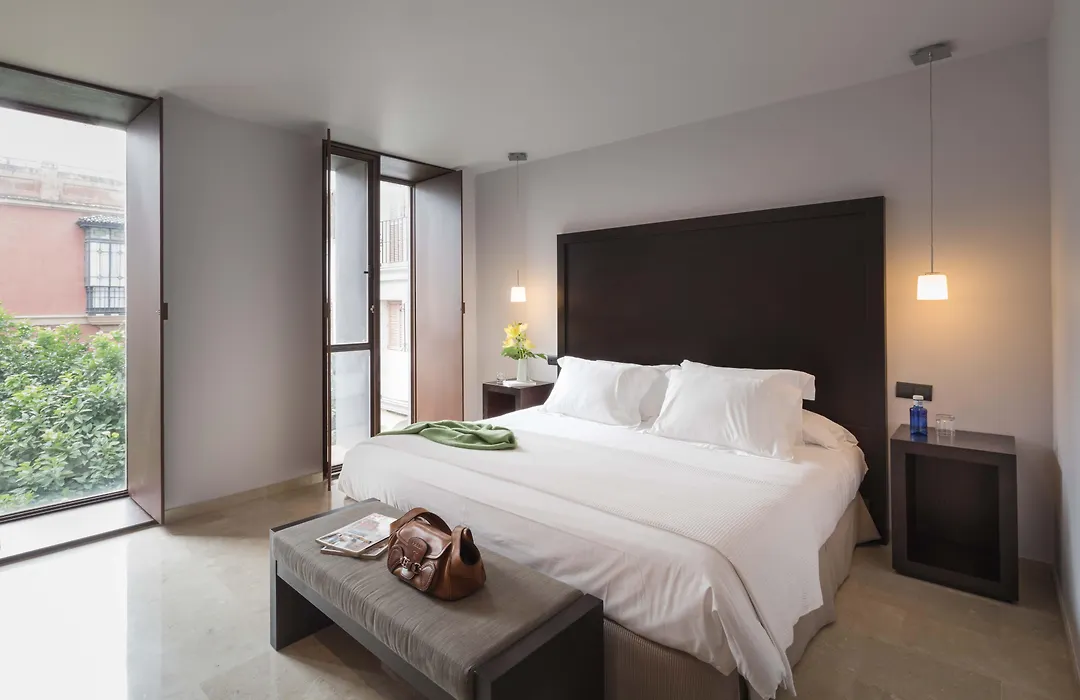 Hotel Rey Alfonso X-1
