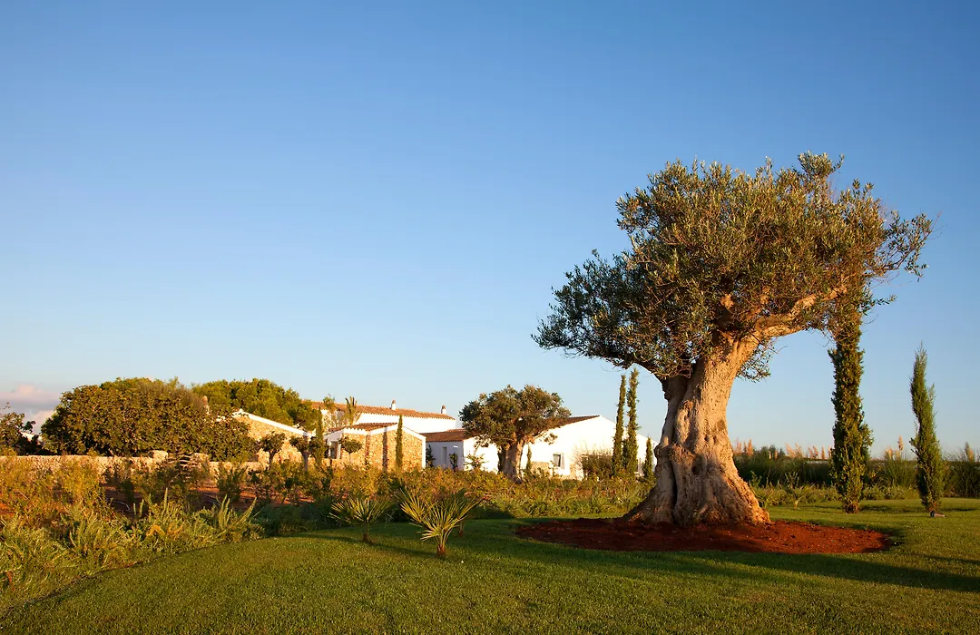 Torralbenc, A Small Luxury Hotel Of The World-1