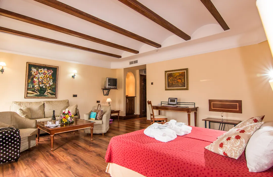Hotel Abades Guadix-1