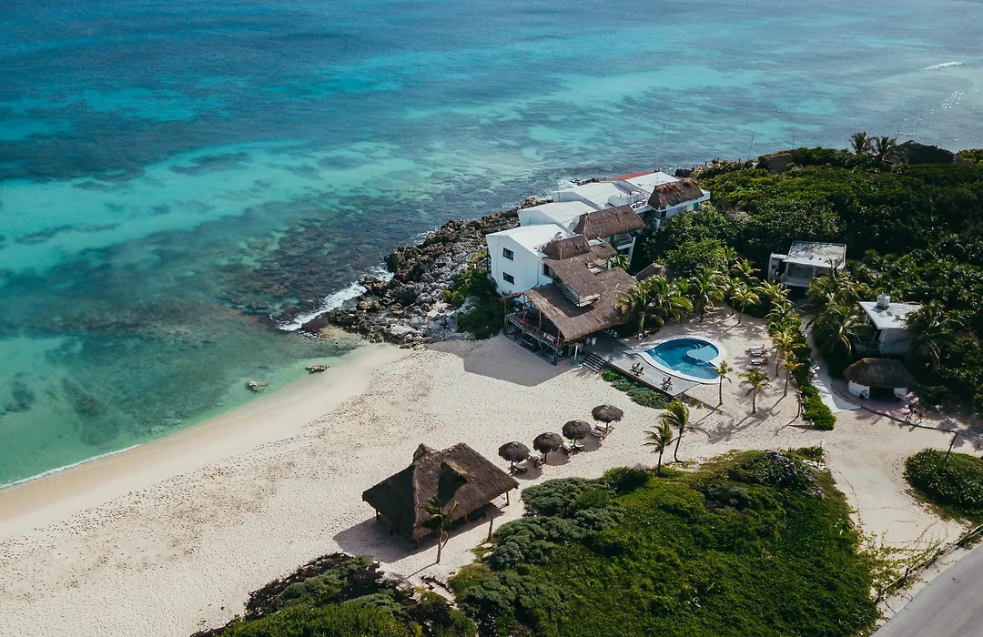 Ventanas Al Mar Beach Front Cozumel (Adults Only)-1