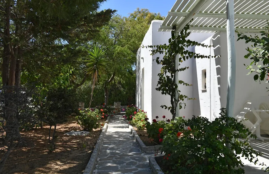 Surfing Beach Village Paros-1
