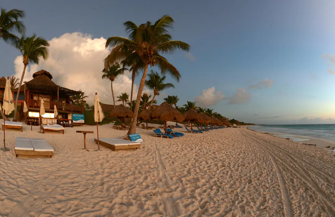 Hip Hotel Tulum-1