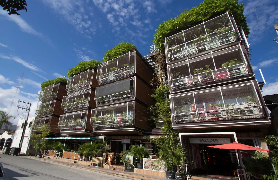 Hotel Kavia 5Th Avenida (Adults Only)-1