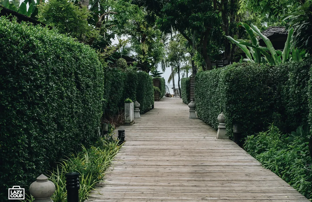 Tango Luxe Beach Villa, Koh Samui-1