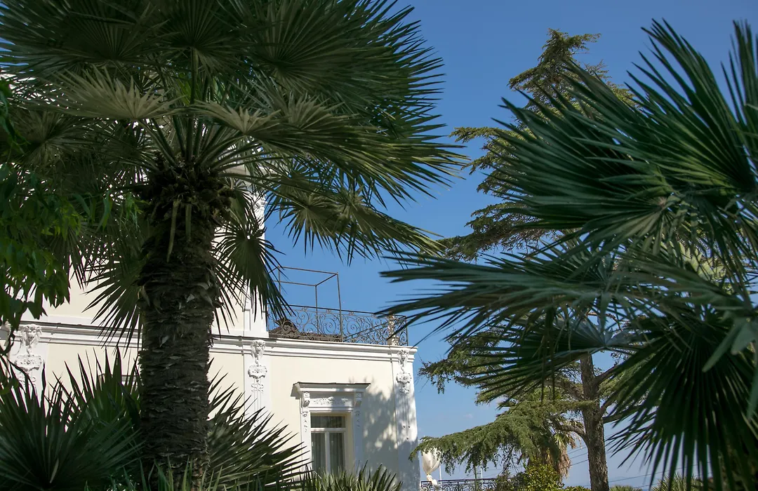 Luxury Villa Excelsior Parco-1
