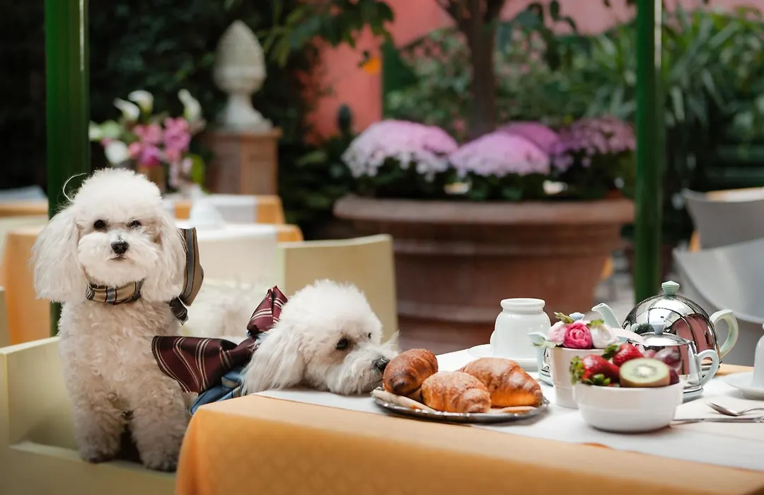 Hotel Palazzo Dal Borgo-1