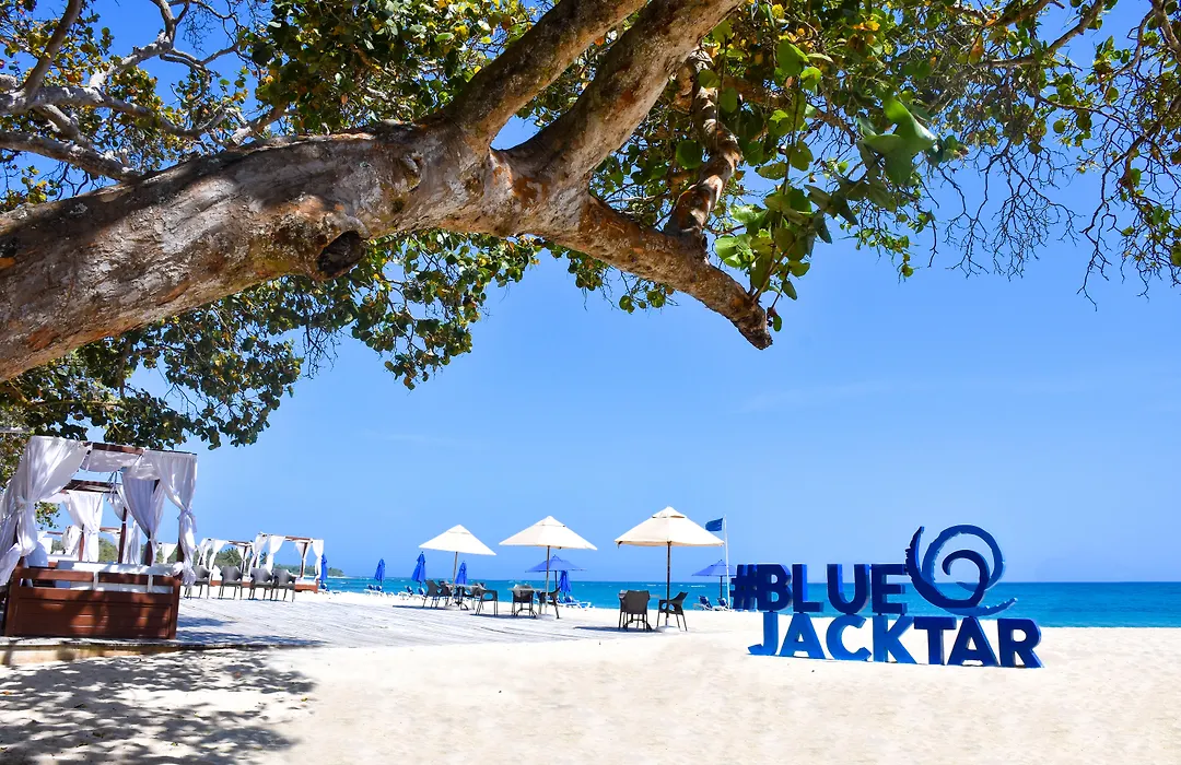 Blue Jacktar-1