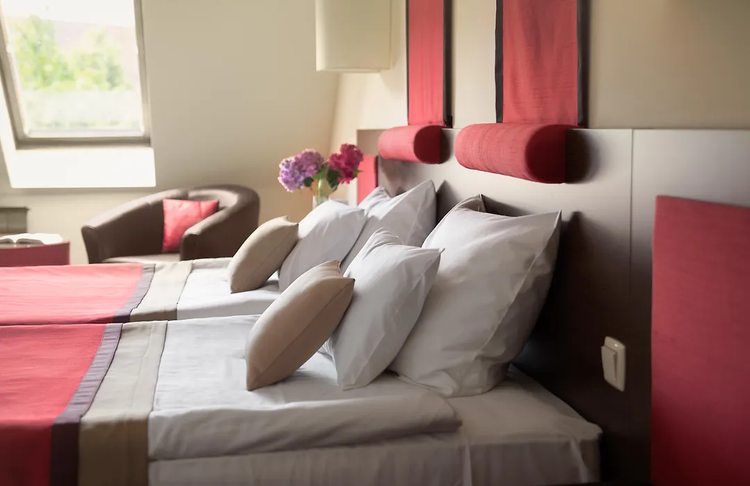 Rubin Wellness & Conference Hotel-1