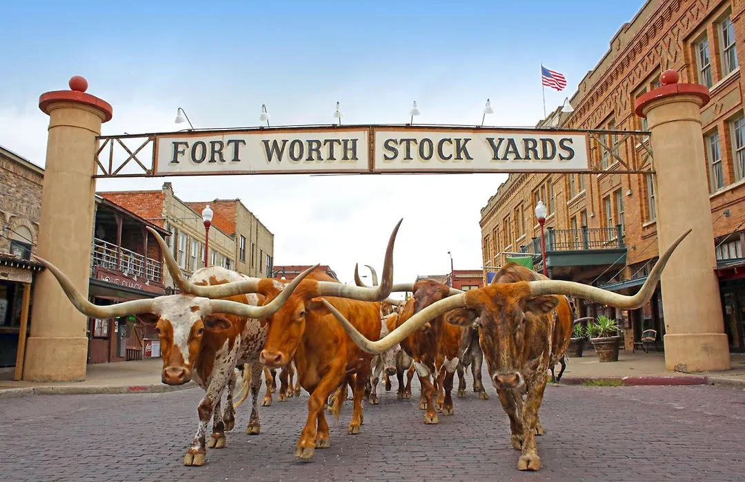 Radisson Hotel Fort Worth North-Fossil Creek-1