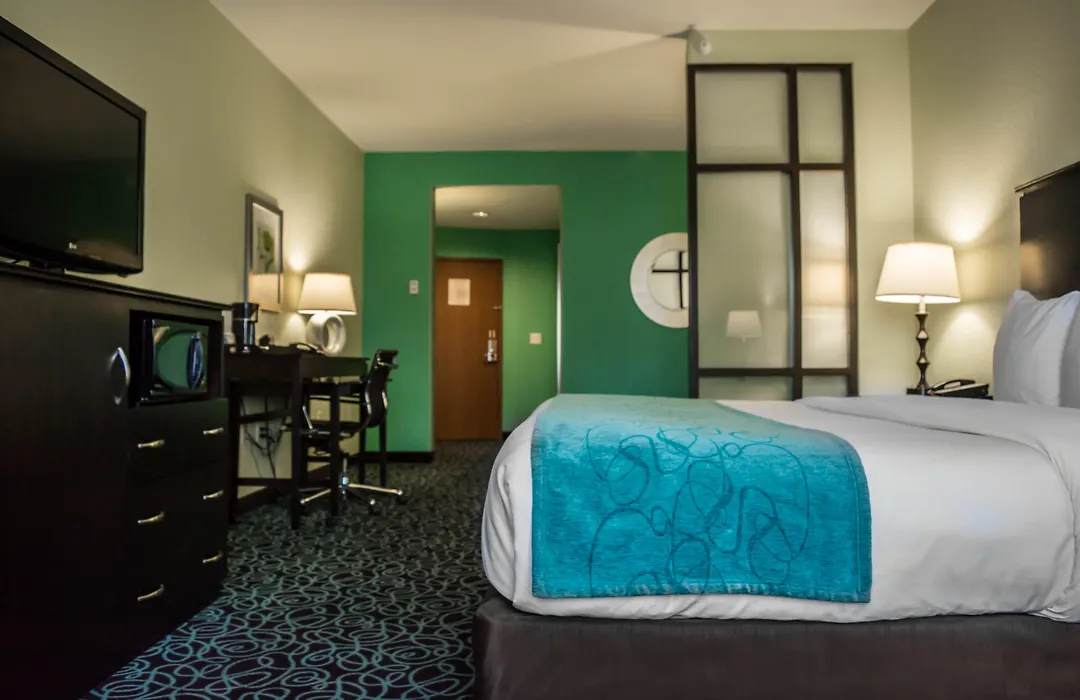 Hampton Inn By Hilton Tampa Fairgrounds Casino-1