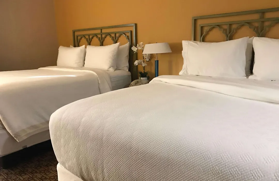 Hotel Xola Trademark Collection By Wyndham-1