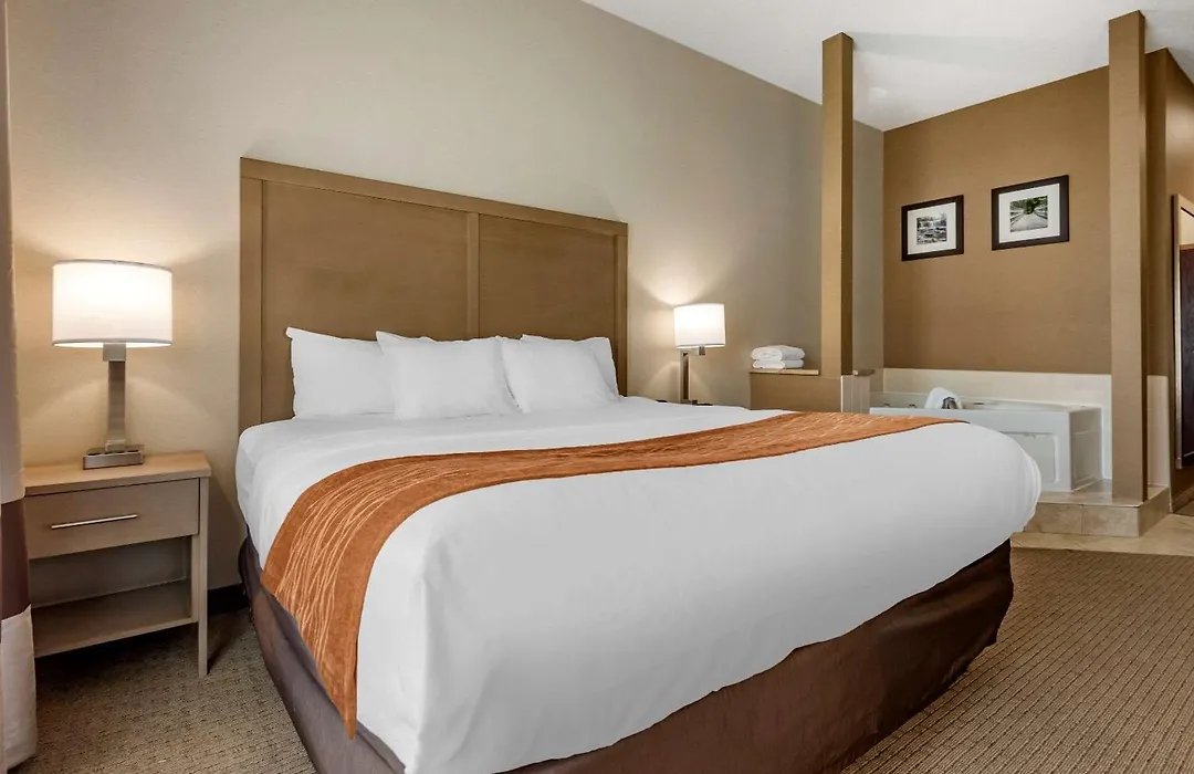 Comfort Inn & Suites Farmington - Victor-1