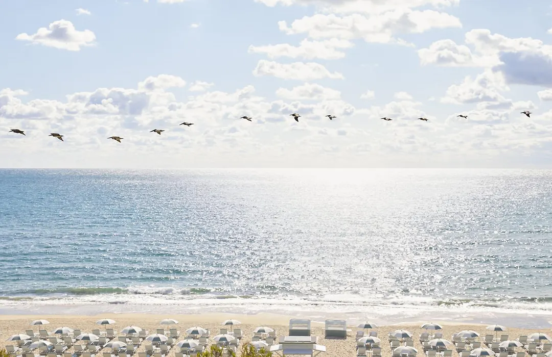 Four Seasons Resort Palm Beach-1