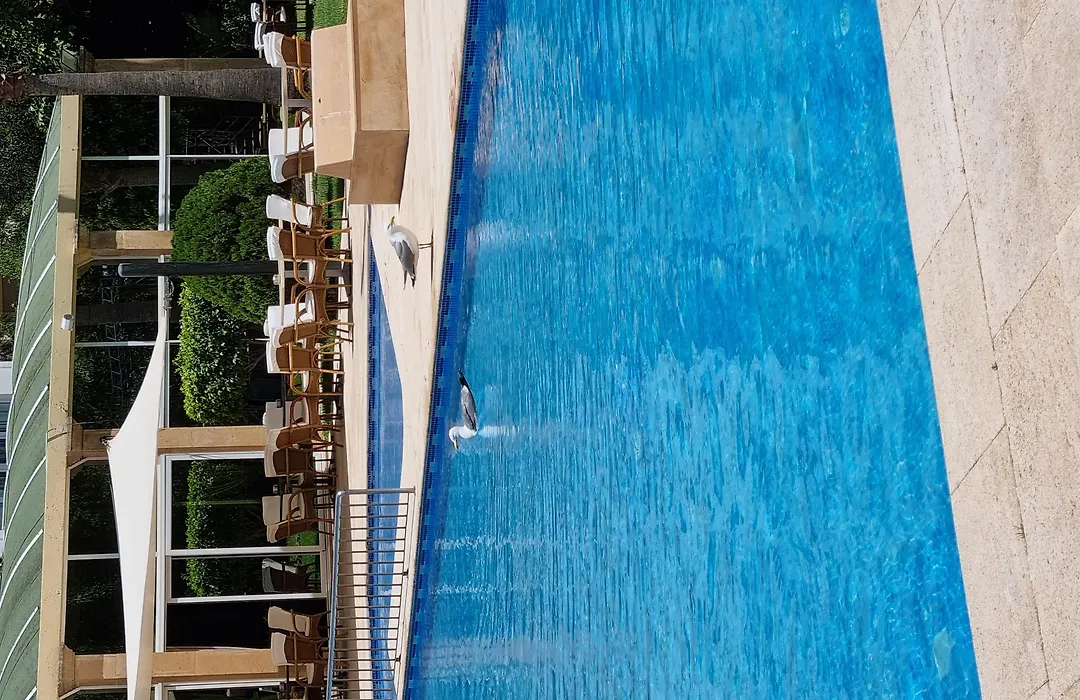 El Oumnia Puerto & Spa-1