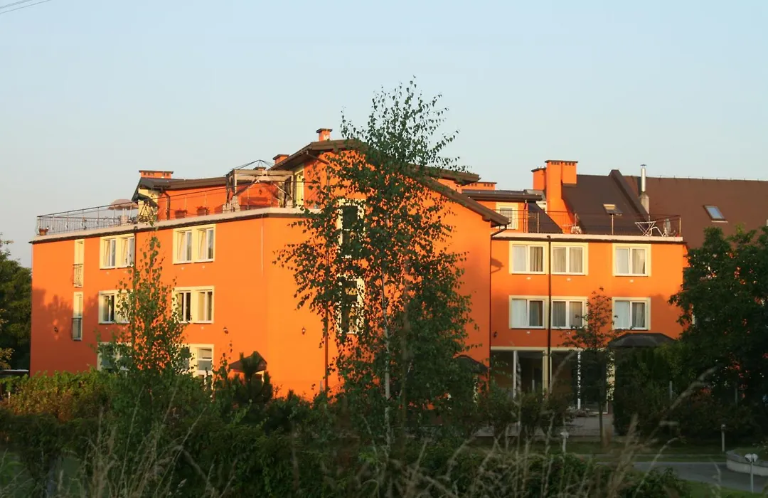 Daisy Superior-1