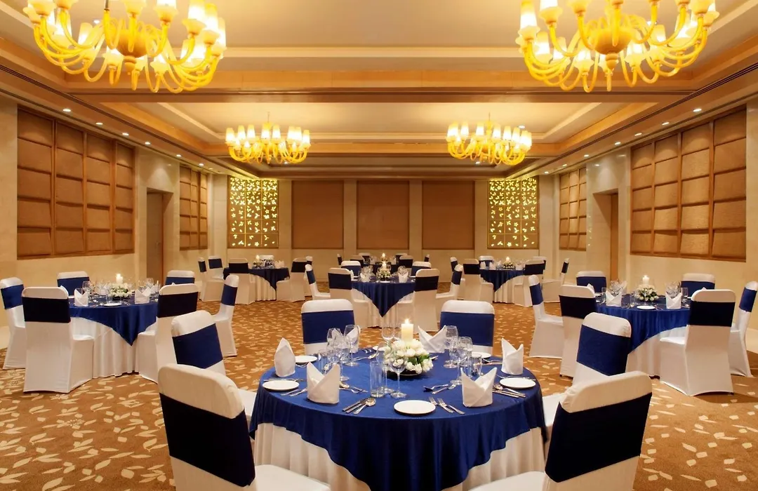 Radisson Blu Hotel New Delhi Dwarka-1