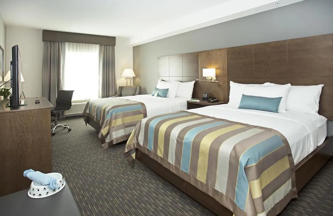 Wingate By Wyndham Calgary Airport-1