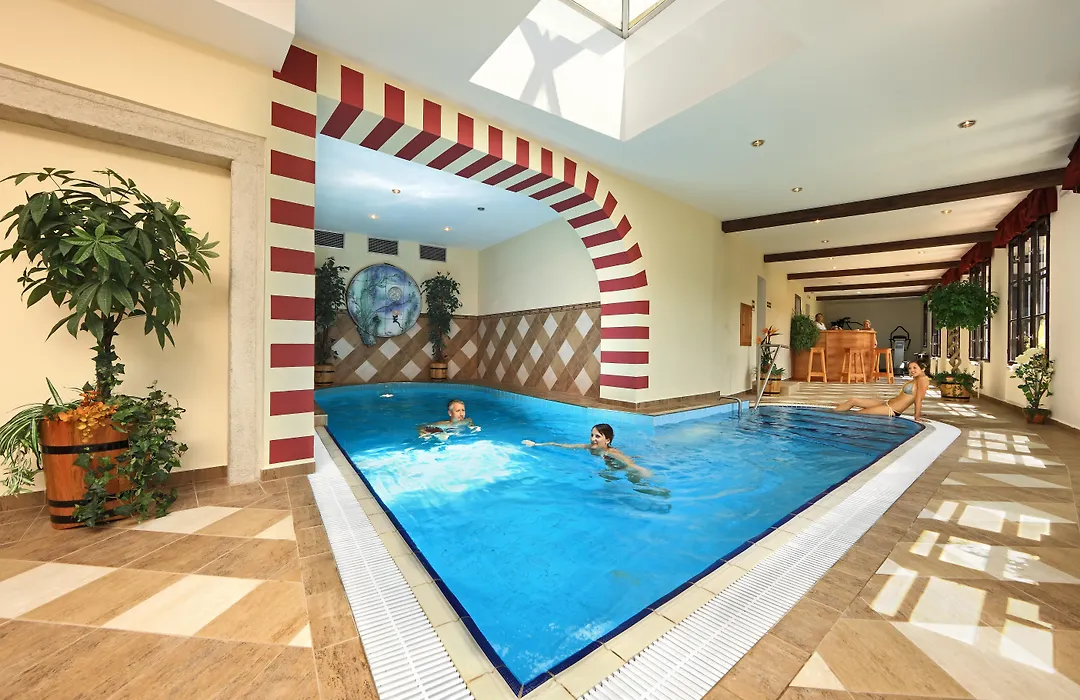 Hotel Ruze & Wellness-1