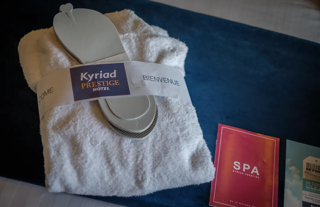 Kyriad Prestige Lyon Est - Saint Priest Eurexpo Hotel&SPA-1