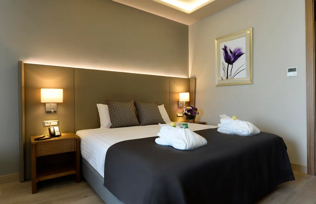 Holiday Inn Bursa - City Centre By Ihg-1
