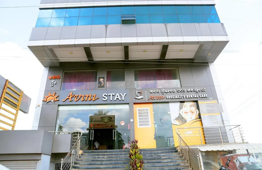 Avini Stay-1