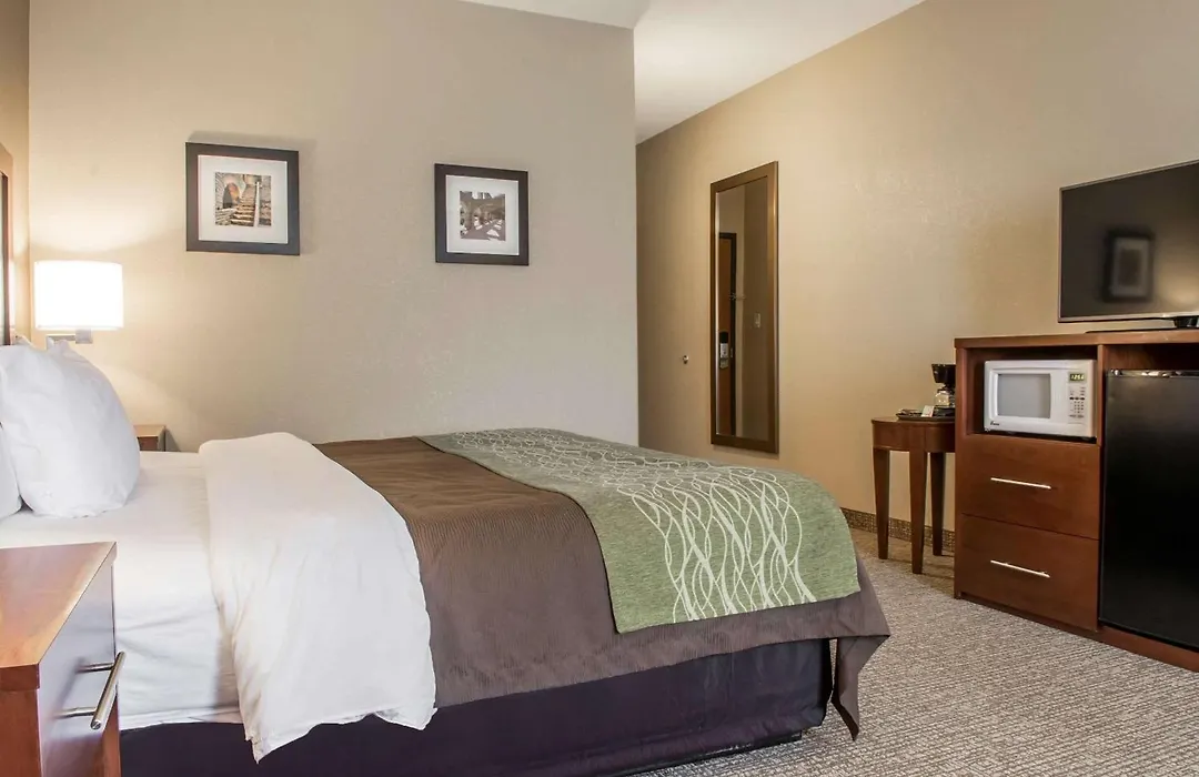 Comfort Inn Edinburg South-1
