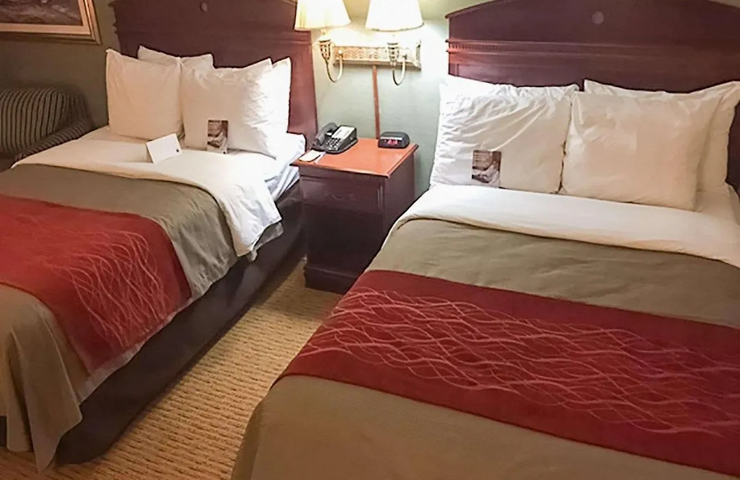 Comfort Inn Springfield-1