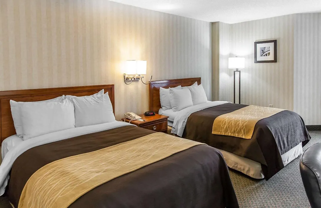 Comfort Inn Pentagon City-1