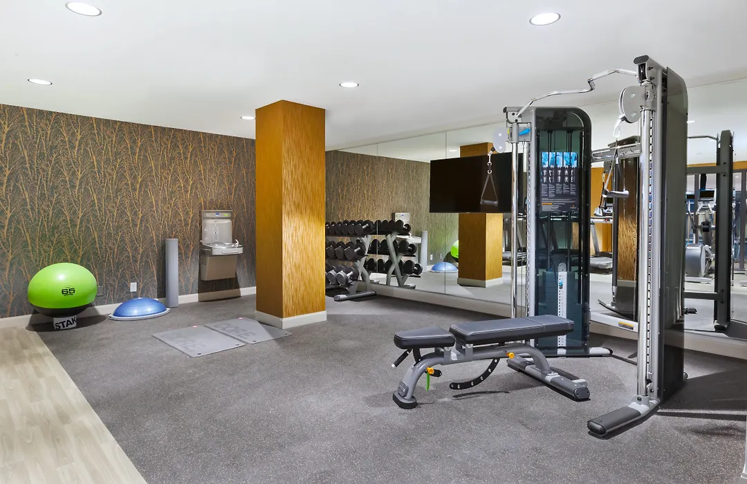 Doubletree By Hilton Rochester - Mayo Clinic Area-1