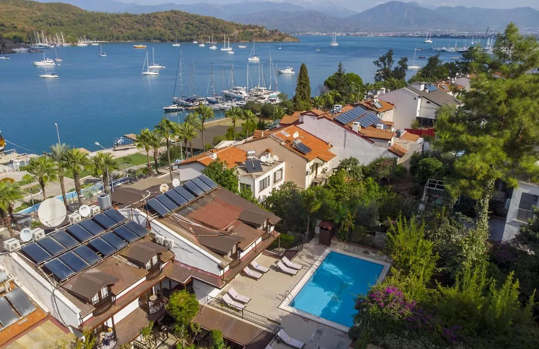 Hotel Villa Daffodil-1