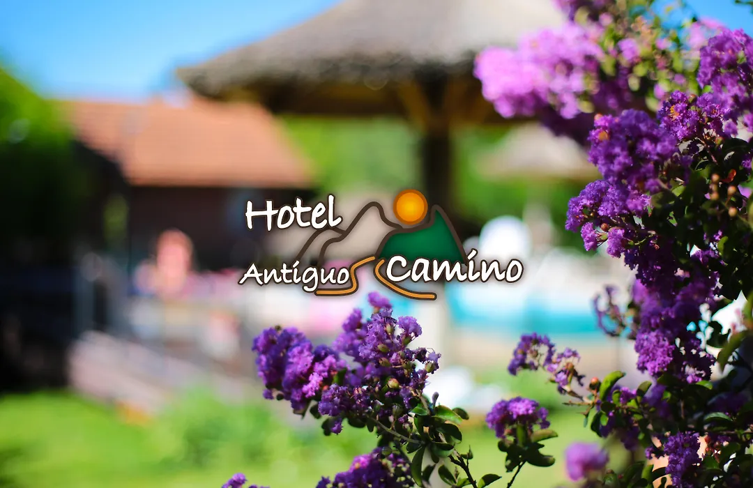 Hotel Antiguo Camino-1