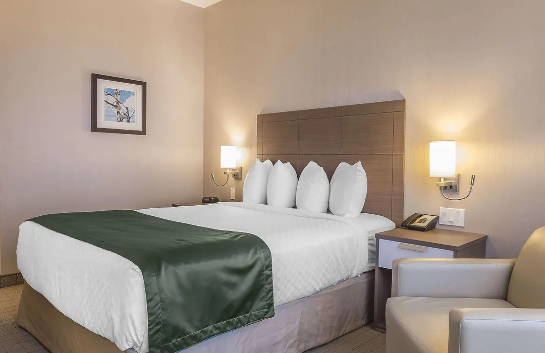 Quality Inn-1