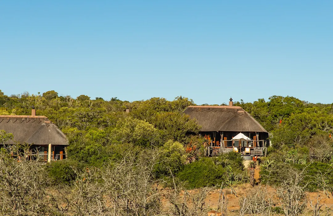 Pumba Private Game Reserve-1