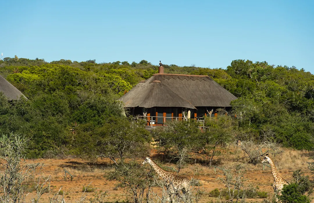 Pumba Private Game Reserve-1