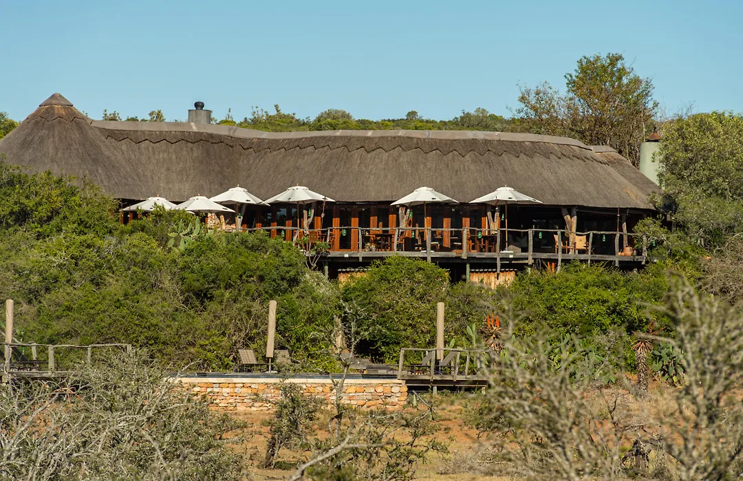 Pumba Private Game Reserve-1