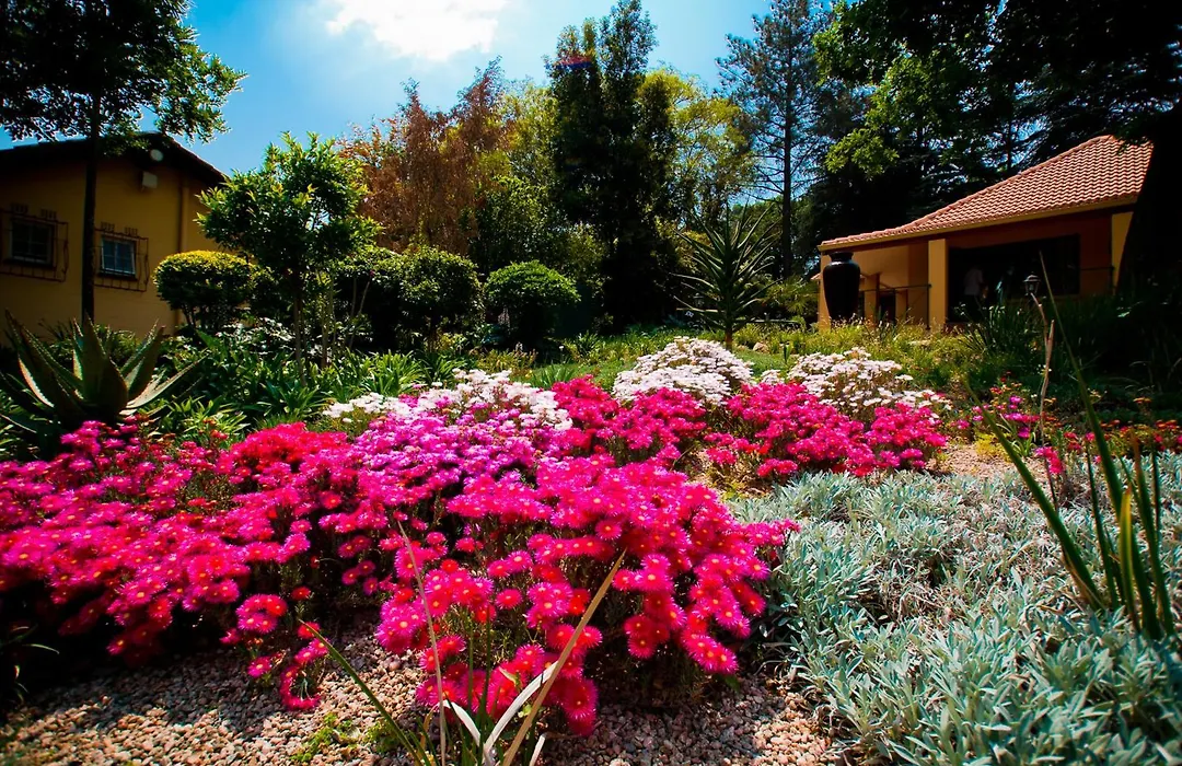 Little Tuscany Boutique Hotel-1