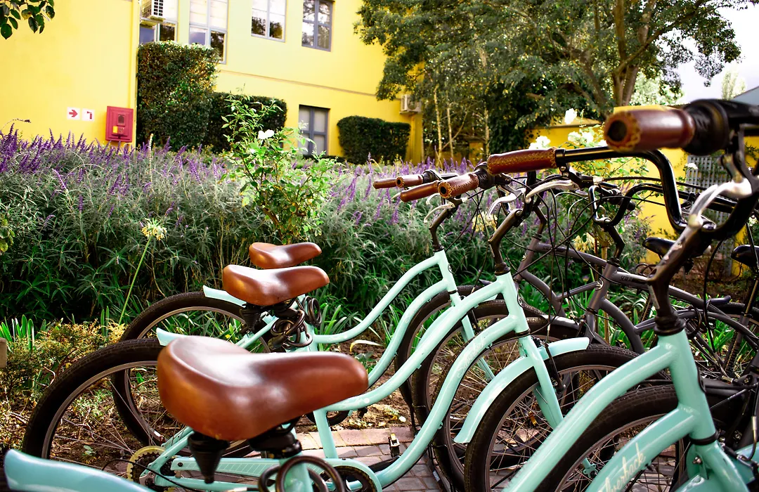Franschhoek Country House&Villas-1