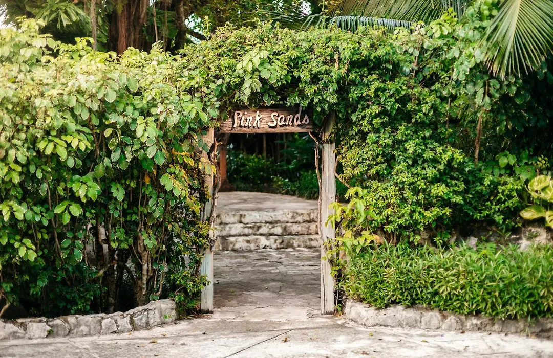 Pink Sands Resort-1