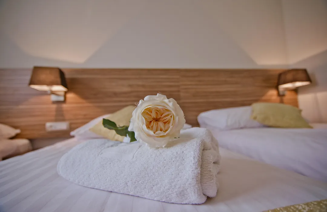 Hotel Luna-1