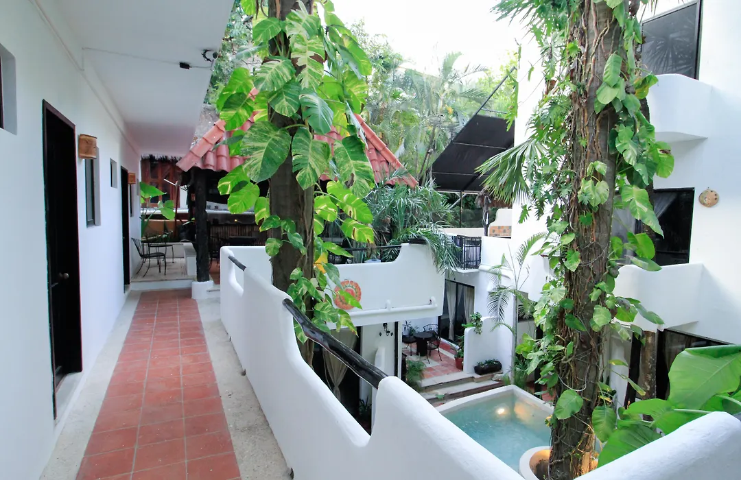 Moonshine Hotel-1