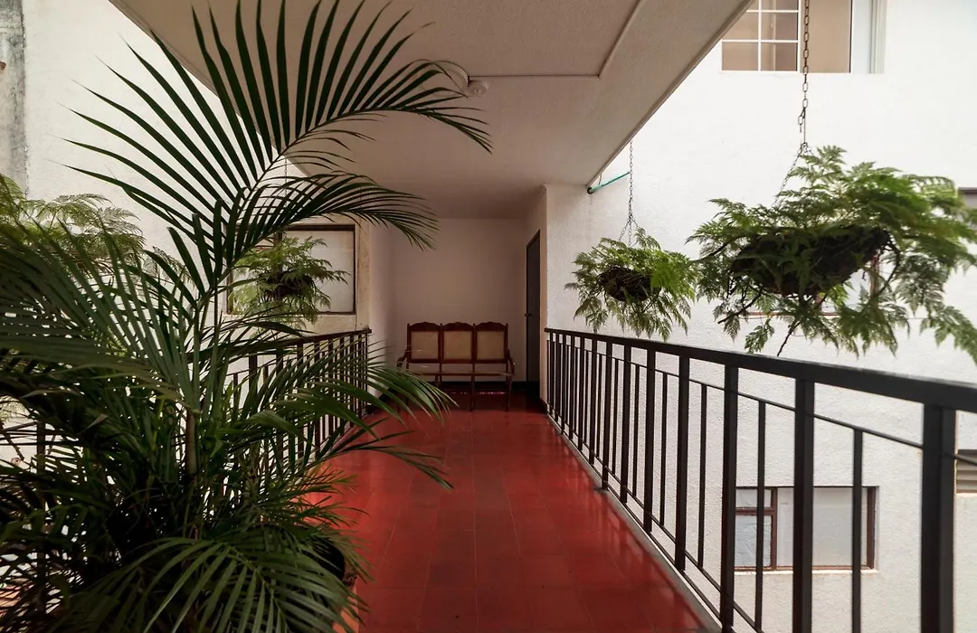 Ayenda 1502 Principe-1