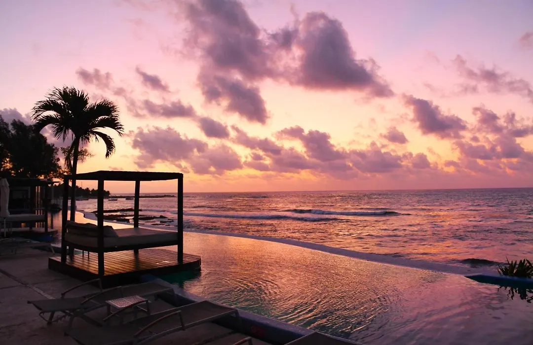 Senses Riviera Maya - Ocean Front Boutique Hotel - Adults Only-1