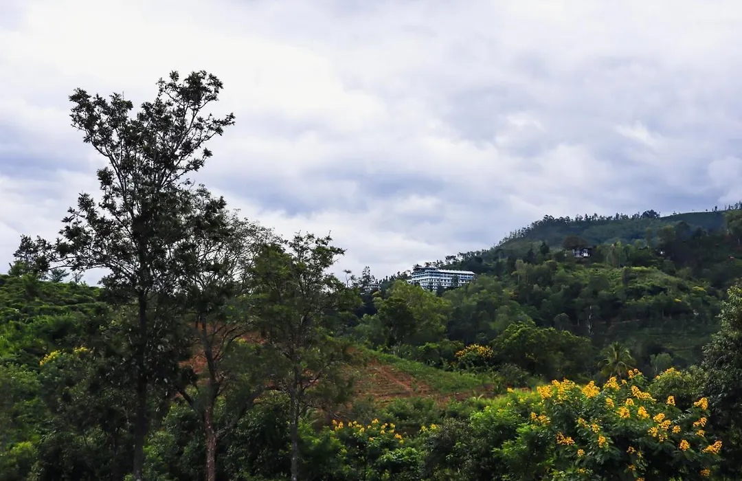 Misty Villas-1