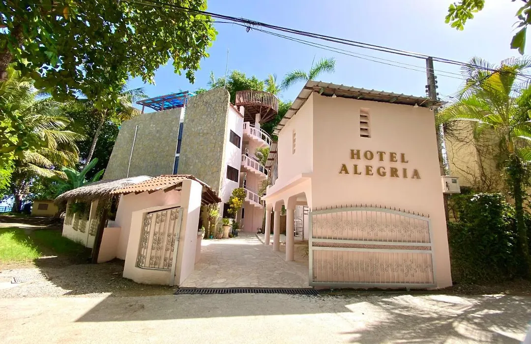Hotel Alegria-1