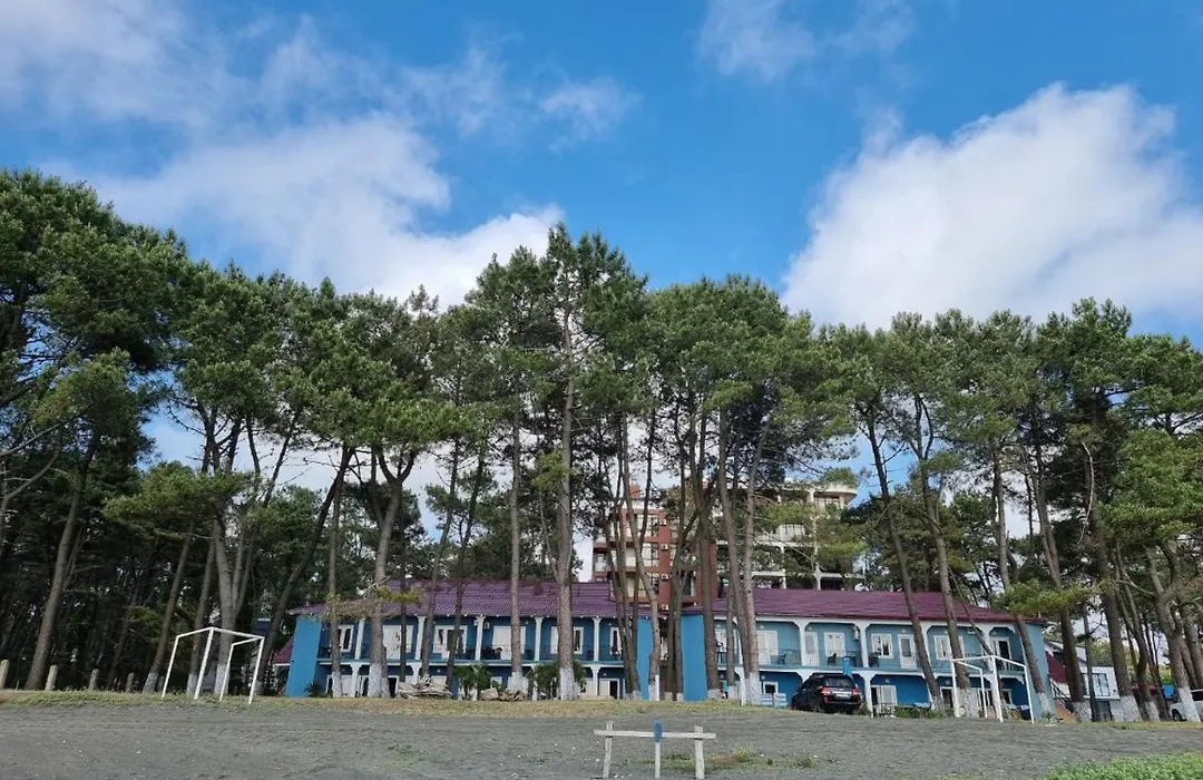 Evrika Hotel Shekvetili-1