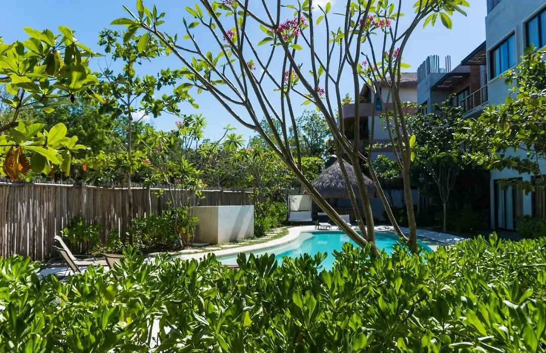Macondo Tulum-1